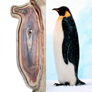 Wooden penguin